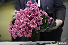 В Екатеринбург к 8 марта привезли цветов на миллион долларов