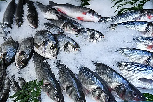 В Роспотребнадзоре напомнили, на что обратить внимание при выборе рыбы