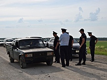 Введен режим ЧС: глава Гурьевского округа прокомментировал карантин из-за африканской чумы свиней