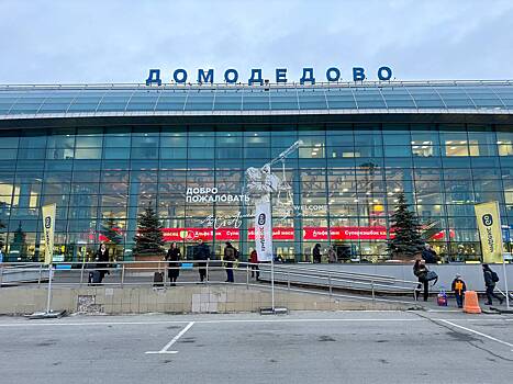Два подмосковных аэропорта ограничили работу из соображения безопасности