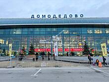 Два подмосковных аэропорта ограничили работу из соображения безопасности