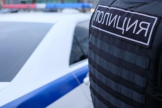В Пскове прошли обыски у членов «Яблока»