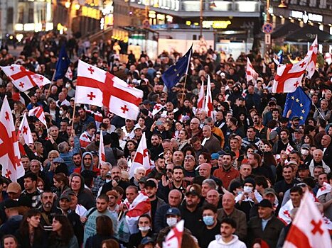 Глава ОБСЕ оштрафована за посещение митинга в Тбилиси