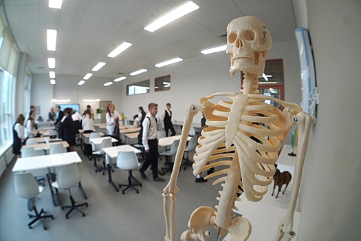 В новосибирских образовательных организациях вводится масочный режим