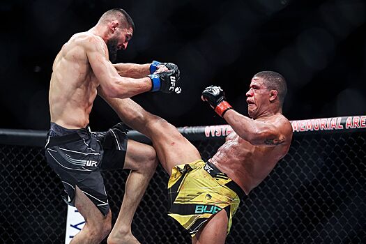 Бразильский боец смешанных единоборств обратился к Илону Маску с вопросом