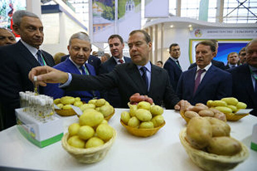 Медведев поручил активизировать работу в наименее развитых регионах
