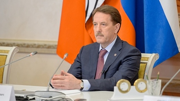 Доходы губернатора Воронежской области за год сократились на 300 тыс. руб