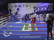 Волгоградские боксеры неудачно выступили на чемпионате России