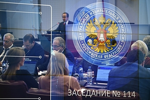ЦИК открестилась от сбора личных данных у выезжающих в день выборов россиян