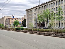 В Челябинске на разделительной полосе проспекта Ленина появятся система автополива и рулонный газон