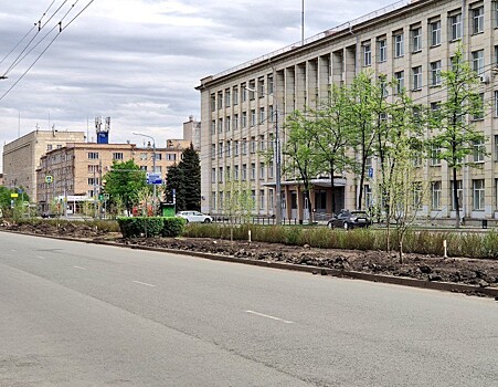 В Челябинске на разделительной полосе проспекта Ленина появятся система автополива и рулонный газон