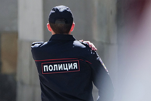 Депутат Госдумы Милонов призвал выработать рекомендации для борьбы с оголением на улице