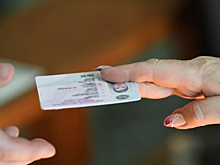 Цифровая копия водительского удостоверения стала доступна в «Госуслугах»