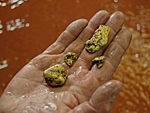 Керимовы консолидируют 99% акций Polyus Gold
