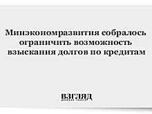 Минэкономразвития предлагает ограничить взыскание долгов по просроченным потребкредитам