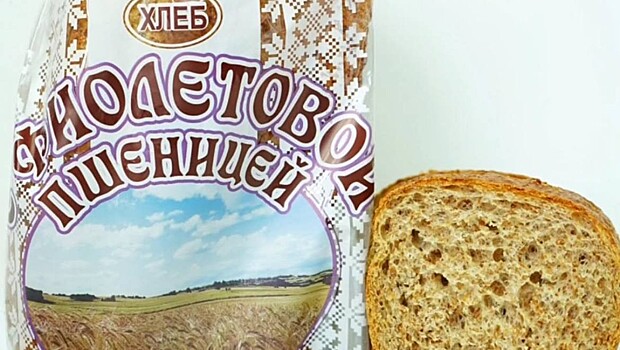 В Беларуси запустили производство хлеба из пророщенной фиолетовой пшеницы