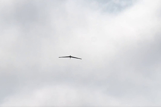 Вблизи российского региона заметили американский разведывательный беспилотник
