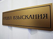 «Первый прецедент»: Главу коллекторского агентства наказали