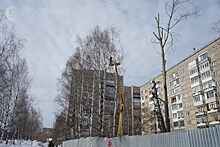 «Сделали всё возможное»: глава Ижевска прокомментировал вырубку деревьев на улице Молодёжной