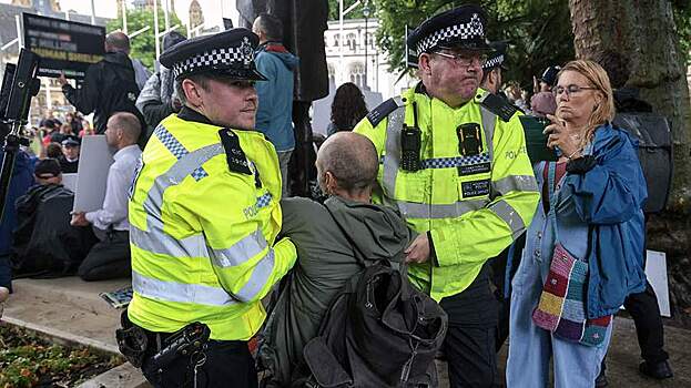 Протесты в Лондоне: пострадали 26 сотрудников полиции, 25 участников задержаны