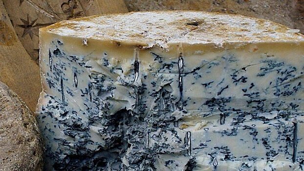 2,6 тонны сыра с плесенью из Армении задержали в Подмосковье