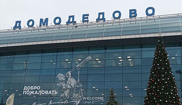 Пассажира с психотропными препаратами задержали в Домодедово