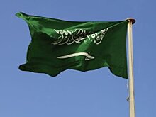 Начался бракоразводный процесс шейха Дубаи и сбежавшей от него жены