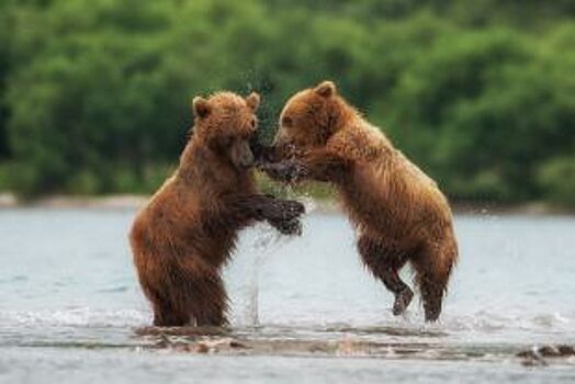 Выставка фотографа National Geographic Россия «посетит» Югру