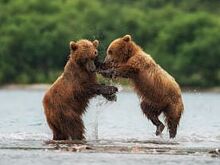 Выставка фотографа National Geographic Россия «посетит» Югру