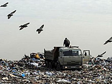 В Минприроды РФ обсудили экологические проблемы Дагестана