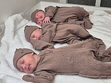 Рождаемость снижается: с начала 2025 года на Кубани появилось на свет более 42 тысяч детей