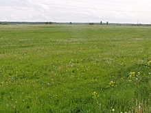 Главной подозреваемой по делу о хищении земли под Воронежем стала дочь главы района