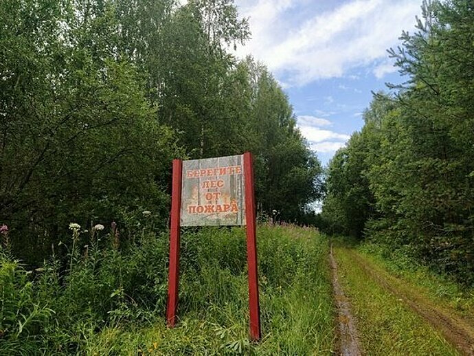 В лесах Саратовской области ввели особый противопожарный режим