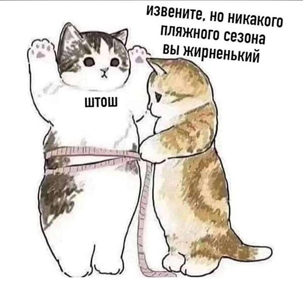 Говорили, что лета в этом году не будет, но, кажется, шансы все еще есть.