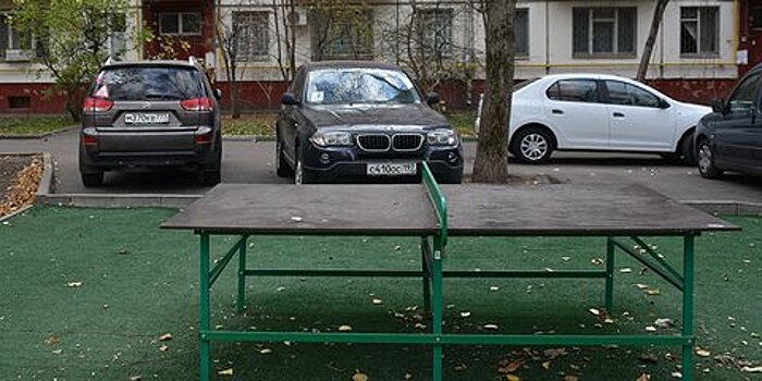Водителям рекомендовали не парковаться под деревьями из-за ветра