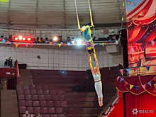 Кемеровский цирк пригласил детей и взрослых на открытую репетицию