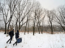 За десять лет в Омскую область переехали 38 тысяч человек