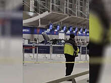 AP: люди пострадали из-за машины, врезавшейся в ворота Детройтского аэропорта