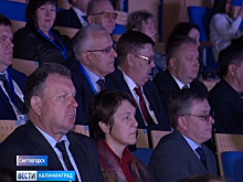 В рамках Международного ветеринарного конгресса проходит конференция «Единый мир – единое здоровье»