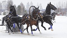 Тройка из Вологды выиграла II этап чемпионата России по русским тройкам