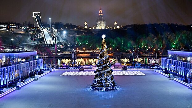 Свыше тысячи новогодних елей установлено в Москве