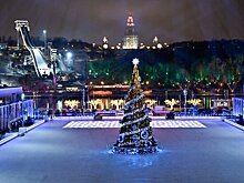 Свыше тысячи новогодних елей установлено в Москве