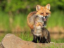 6 октября: какой праздник отмечают в России и мире