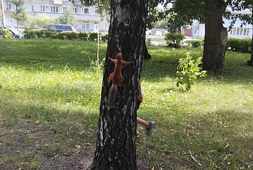 Самые высокие и самые низкие зарплаты назвали в Сибири