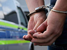 Задержан подозреваемый в похищении матери известной телеведущей