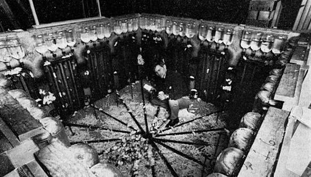 Почему провалился эксперимент «Вселенная-25»