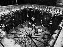 Почему провалился эксперимент «Вселенная-25»