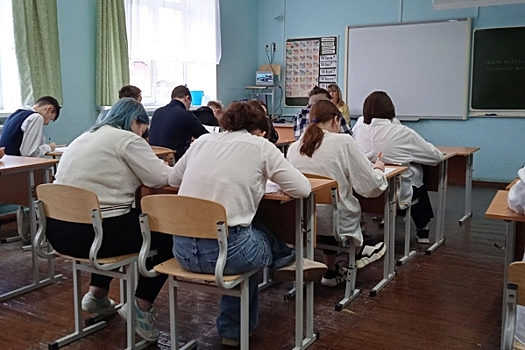 Школа в Новом Девяткино в Ленобласти переполнена более чем в два раза