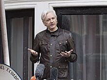 Адвокат считает, что процесс по делу Ассанжа будет длиться "годы и годы"