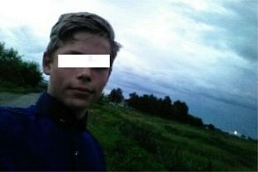 Под Ульяновском погиб врезавшийся в фуру на мопеде подросток